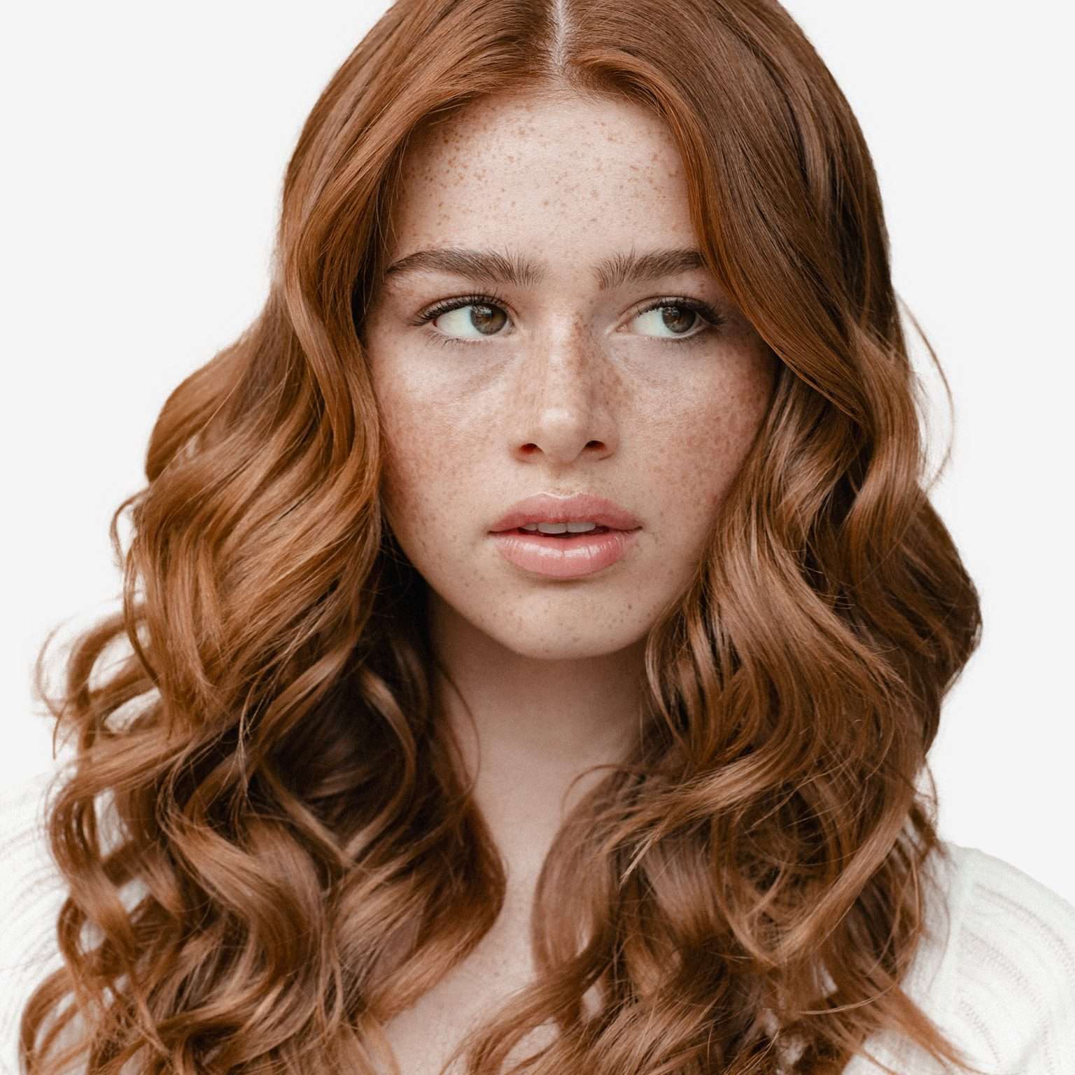 L'Oréal Brendovi