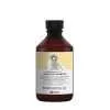 DAVINES Naturaltech Purifing Shampoo - Šampon za čišćenje i protiv peruti 250 ml