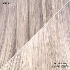 Redken NYC Color Extend Graydiant Regenerator 300ml