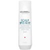 Goldwell DS Deep cleansing šampon 250 ml