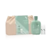 Alfaparf Semi di Lino Scalp Renew Duo Set